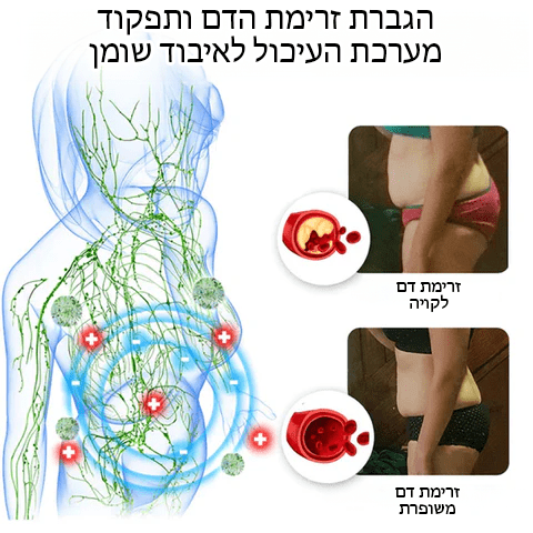 מכנסיים קצרים להרמת יונים ועיצוב של DreamFit™