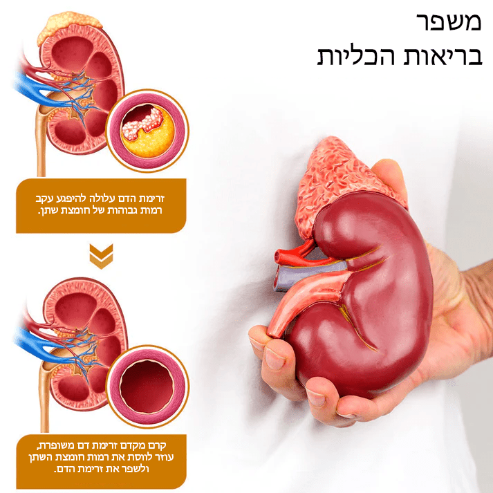 HyperBee™ קרם אנטי זיהום היפראוריצמיה ארס דבורים