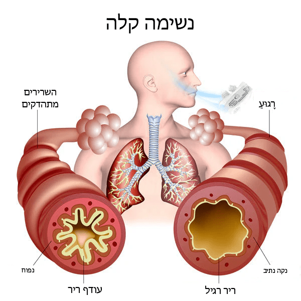 מכשיר מסנן טיפוח ריאות PureAir™