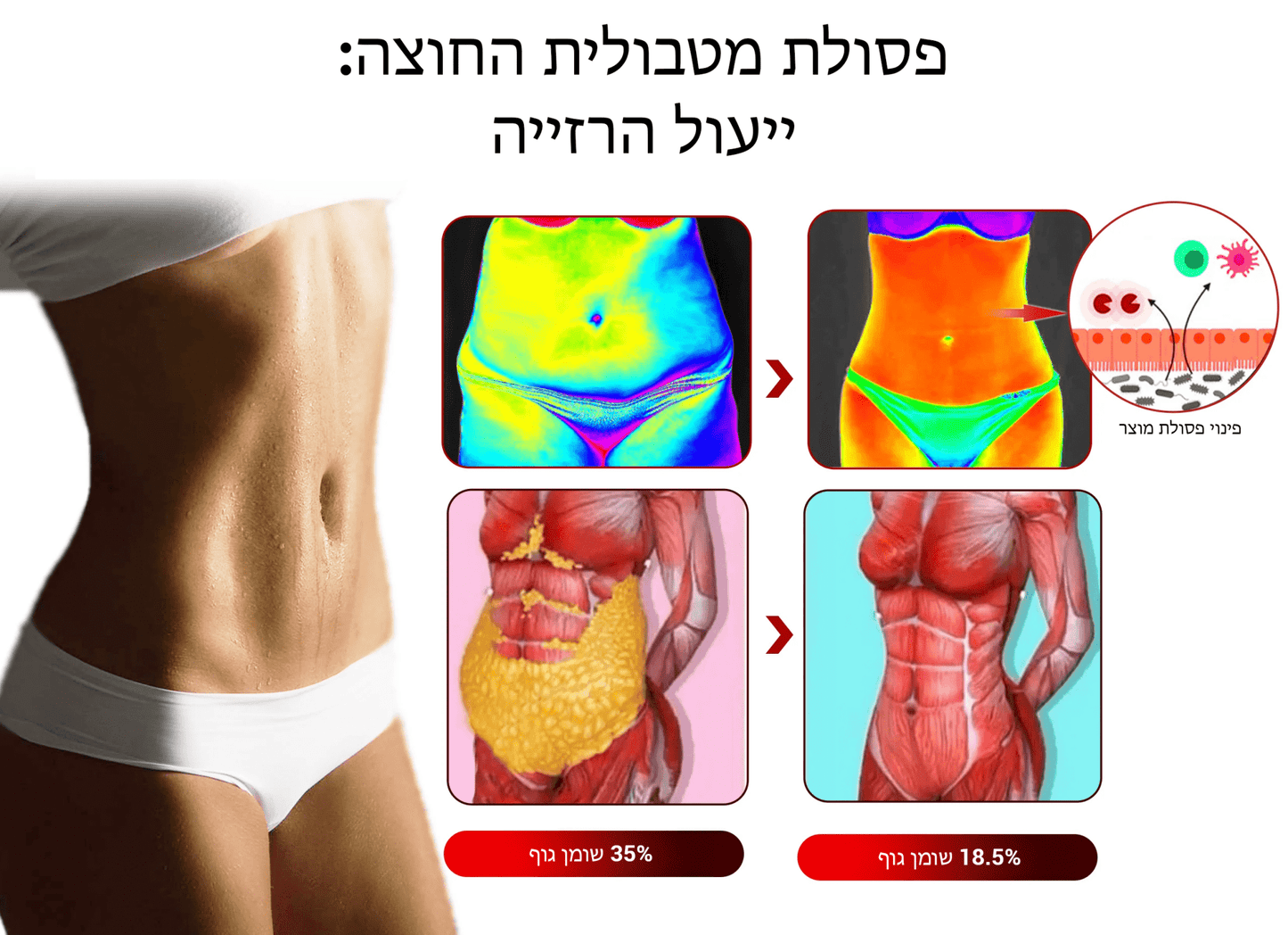 קרם אנטי-נפיחות מחטב ארס דבורים של BeeFit™