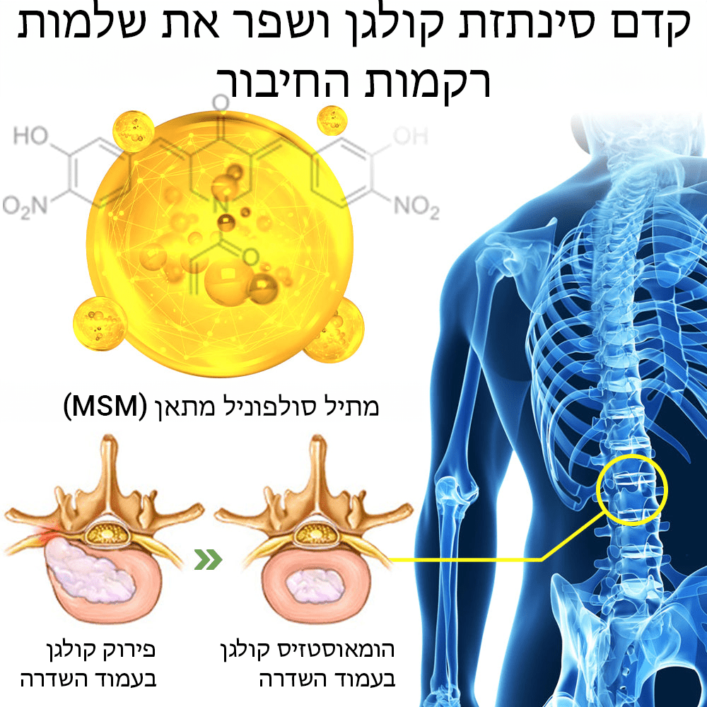 טיח צמחי מדגם LumbarFlex™