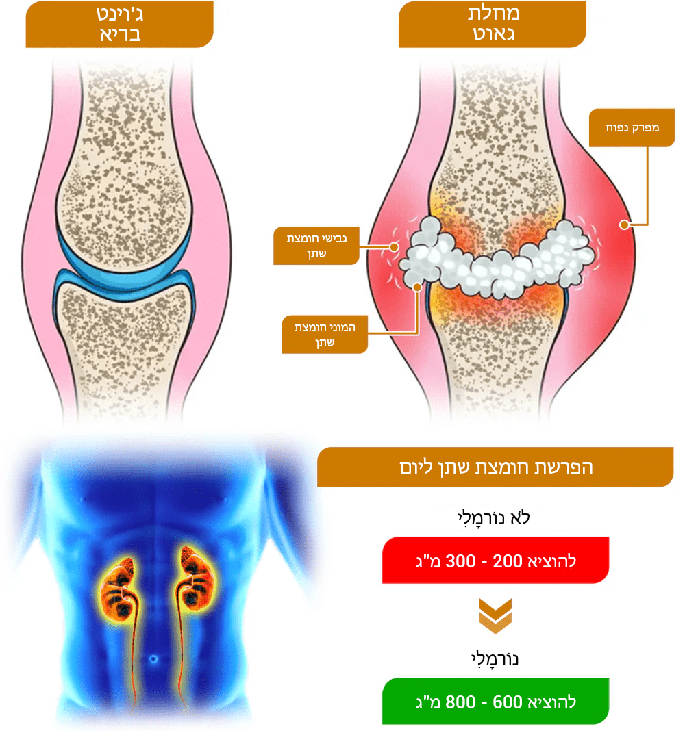 HyperBee™ קרם אנטי זיהום היפראוריצמיה ארס דבורים