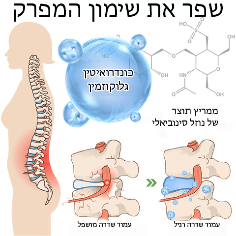 טיח צמחי מדגם LumbarFlex™