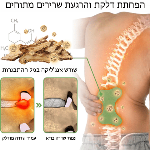 טיח צמחי מדגם LumbarFlex™