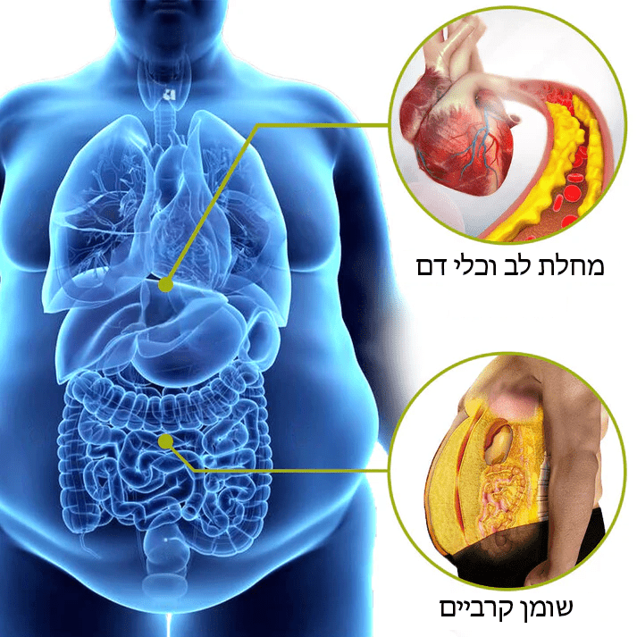 CardioPure™ TQ-5X מראש שמן זרעים שחורים