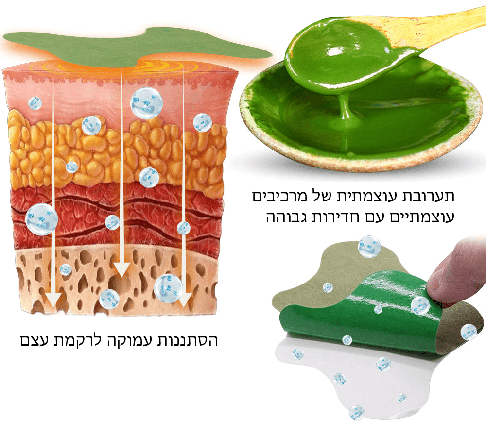 טיח צמחי מדגם LumbarFlex™