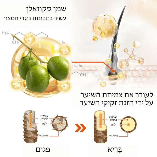 שמן שיער מרוקאי ZenithGrowth™