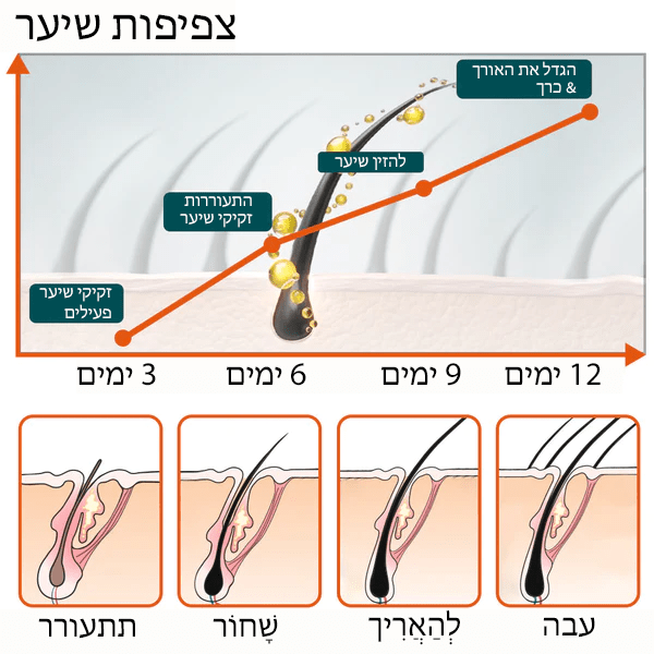 שמן שיער מרוקאי ZenithGrowth™