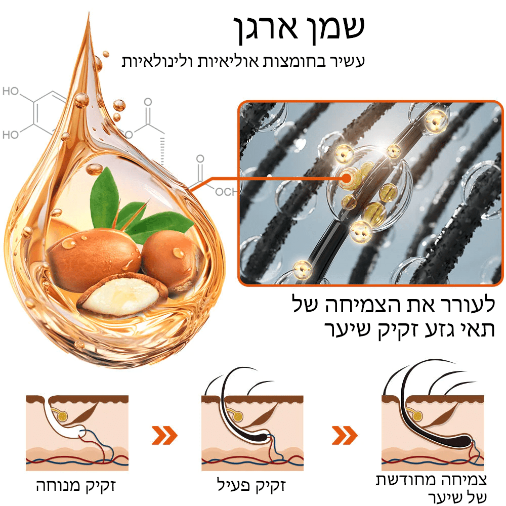 שמן שיער מרוקאי ZenithGrowth™