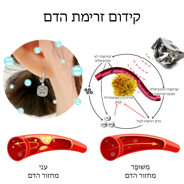 עגילי גרמניום מגנטולוגיה של אבן מוזמביק GeoLymph™